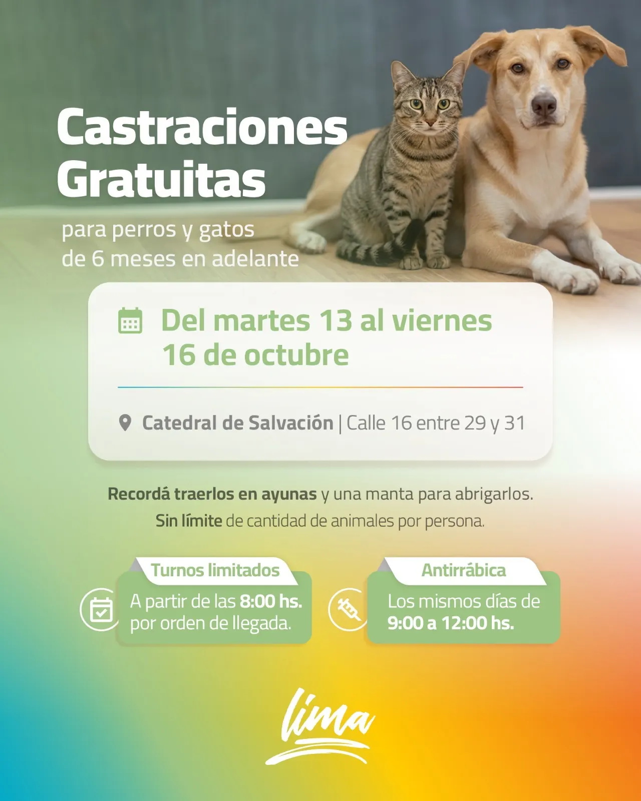 Castraciones gratuitas en Lima: dónde se realizarán y cómo obtener turno para perros y gatos