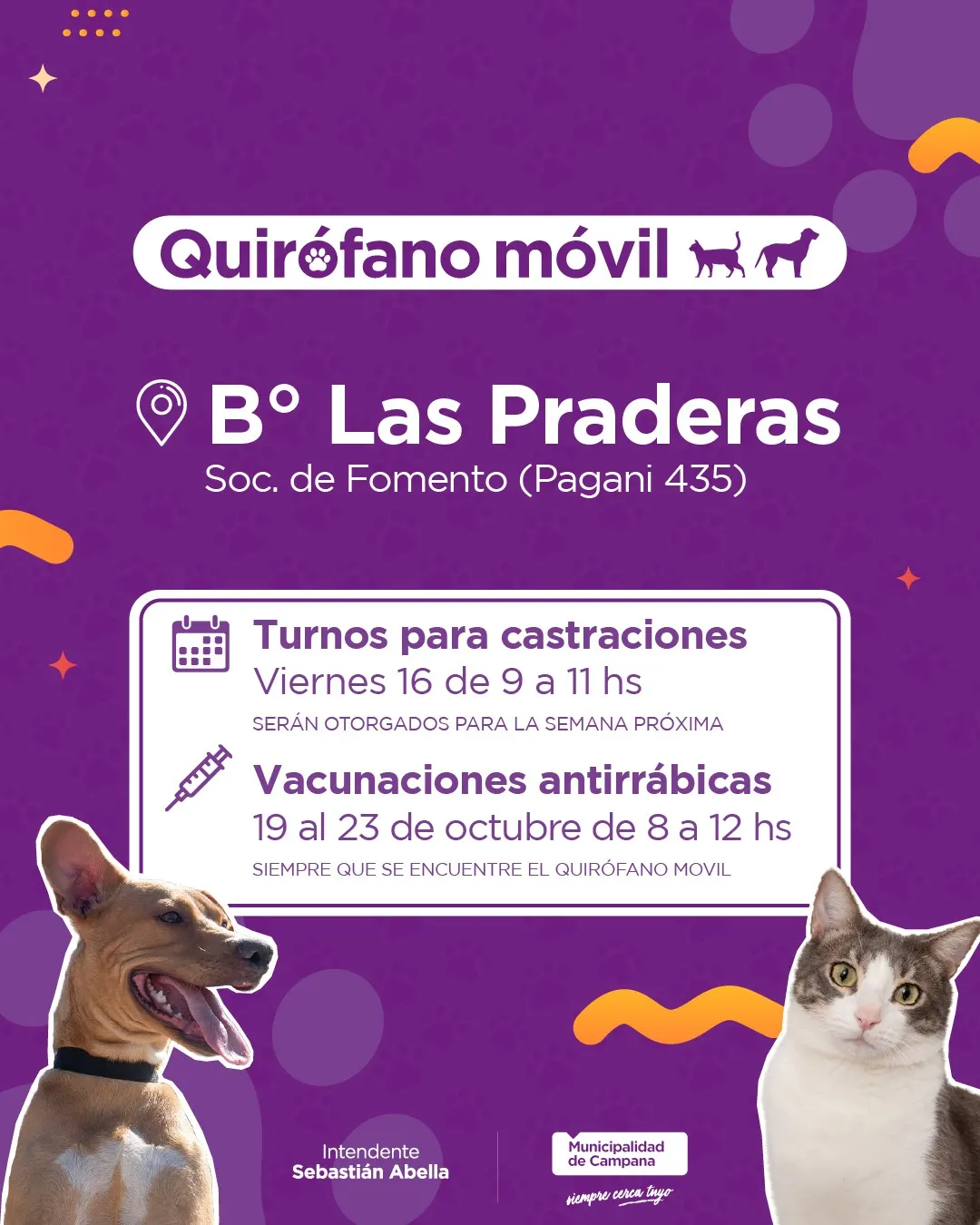 Castraciones gratuitas en Las Praderas: este viernes entregan los turnos