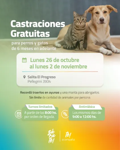 Castraciones gratuitas en Zárate: habrá 30 turnos por día y vacunación antirrábica en El Progreso